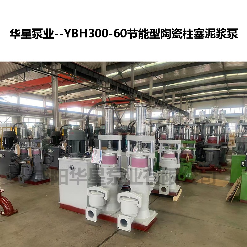 YBH300-60液壓陶瓷柱塞泵-02 YBH300-60液壓陶瓷柱塞泵-02